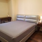 Capitaland Tianfu (5)