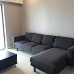 Capitaland Tianfu Chengdu (4)